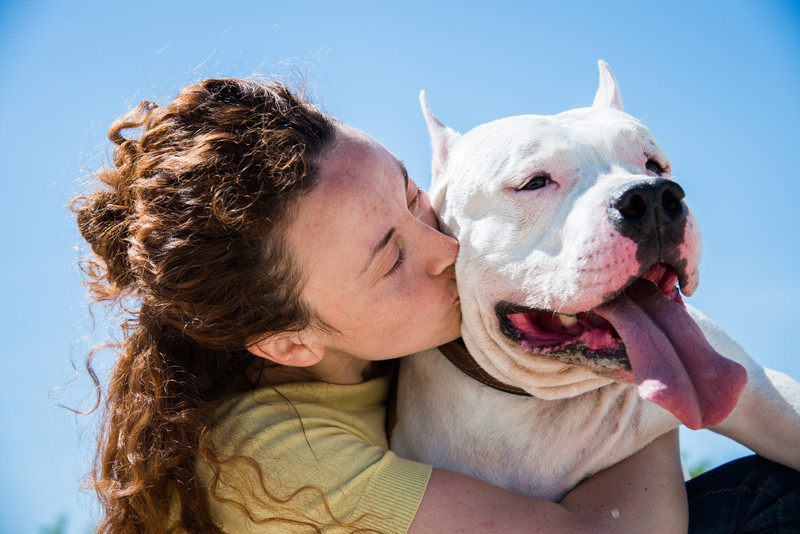 Dog behavior modification training in Roanoke