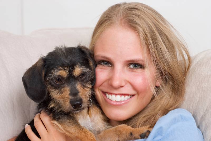 Dog trained through the 3-week board and train program in Roanoke, VA