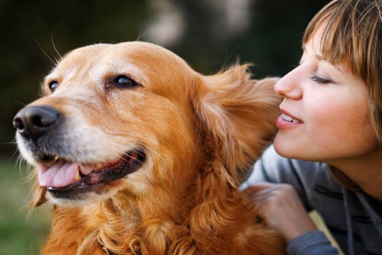 Dog obedience training in Roanoke, Virginia