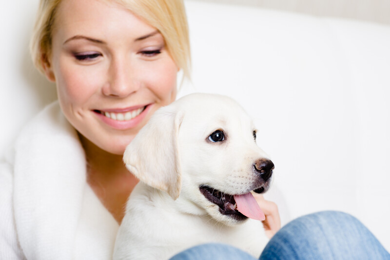Home based dog boarding in Roanoke, VA